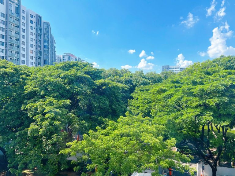 căn hộ diamond alnata celadon city 1