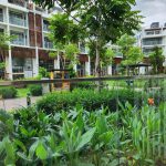 brilliant celadon city 10