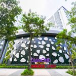 diamond alnata plus celadon 1